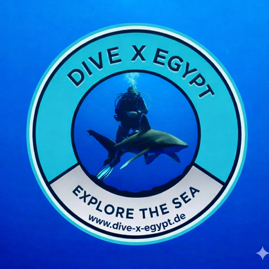 Inspiration of Diving